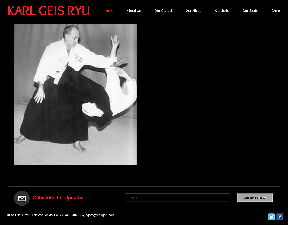 Karl Geis Ryu website screenshot